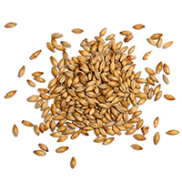 http://hisingenislandbrewery.se/wp-content/uploads/2017/05/ingredients_transparent_03.png